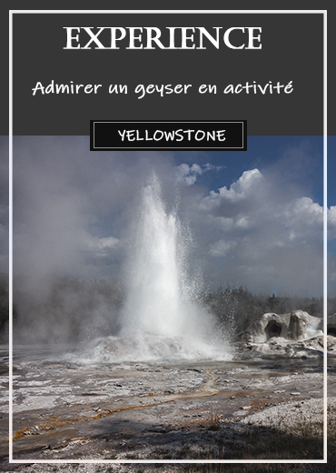 voir-geyser-yellowstone